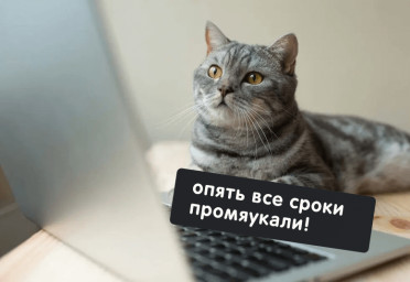 Трудоустройство сотрудников: что нужно знать работодателю | Статья Lad