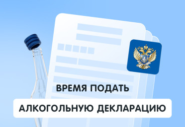 Куда и как подавать алкогольные декларации в 2023 году | Статья Lad
