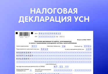 Сдаем налоговую декларацию по УСН правильно и вовремя | Статья Lad
