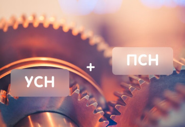 ИП применяет УСН и ПСН. Как учесть страховые взносы за себя и персонал? | Статья Lad