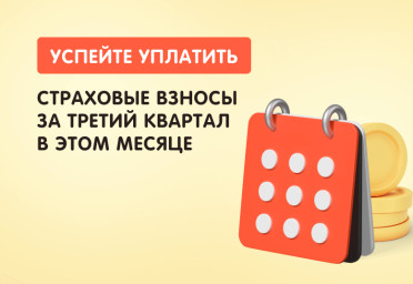 Успейте уплатить страховые взносы за третий квартал в этом месяце | Статья Lad