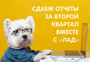 Сдаем отчеты за второй квартал 2022 года вместе с «ЛАД» | Статья Lad
